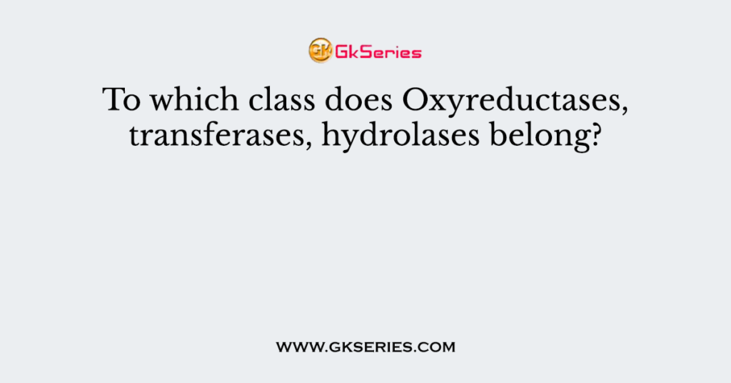 To which class does Oxyreductases, transferases, hydrolases belong?