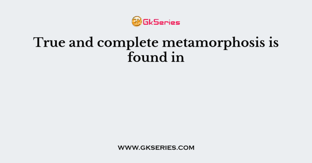 True and complete metamorphosis is found in