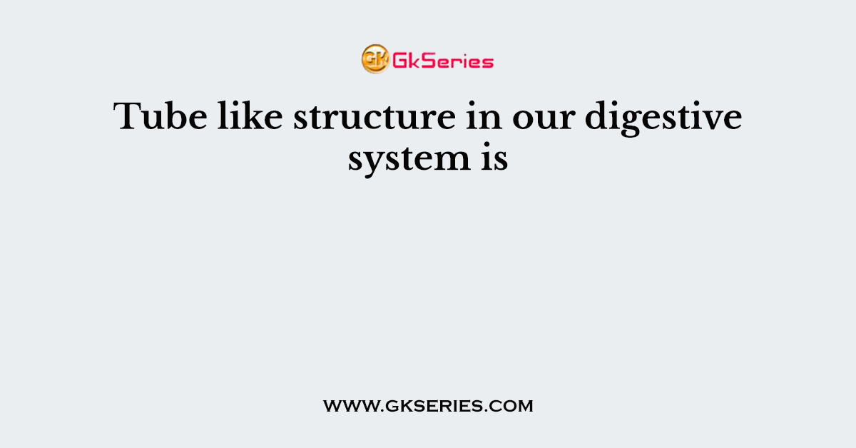 Tube like structure in our digestive system is