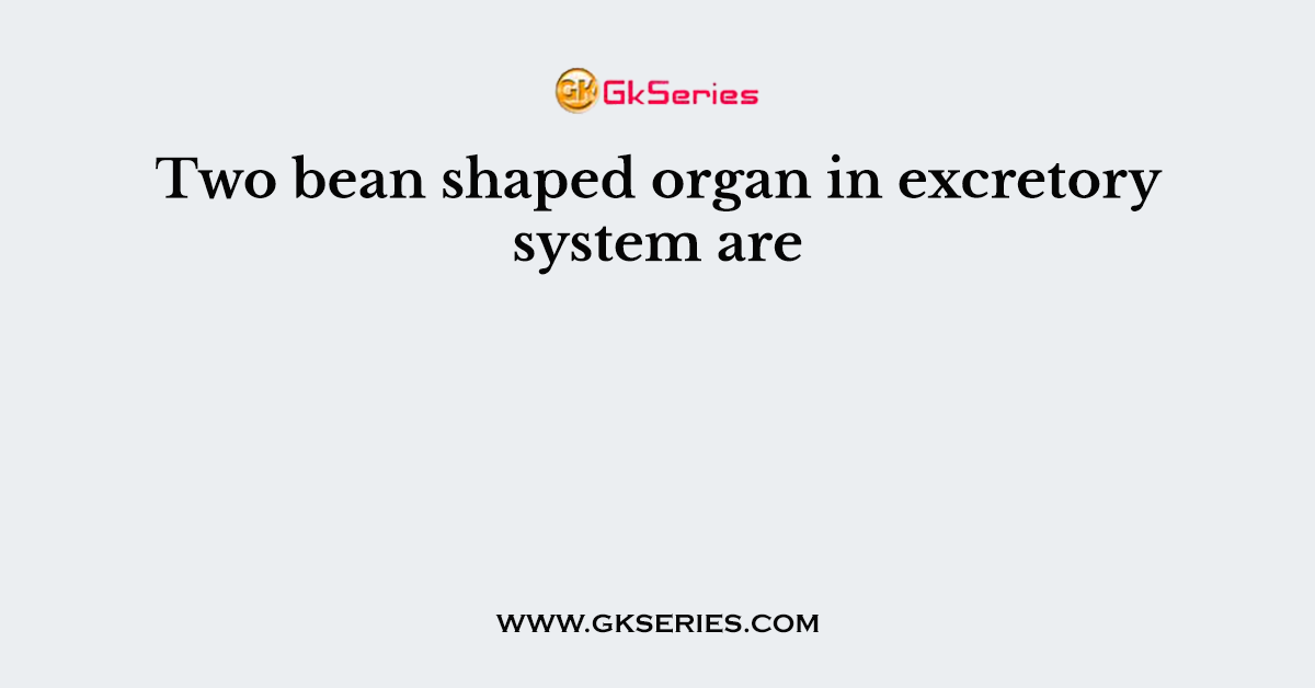 Two bean shaped organ in excretory system are