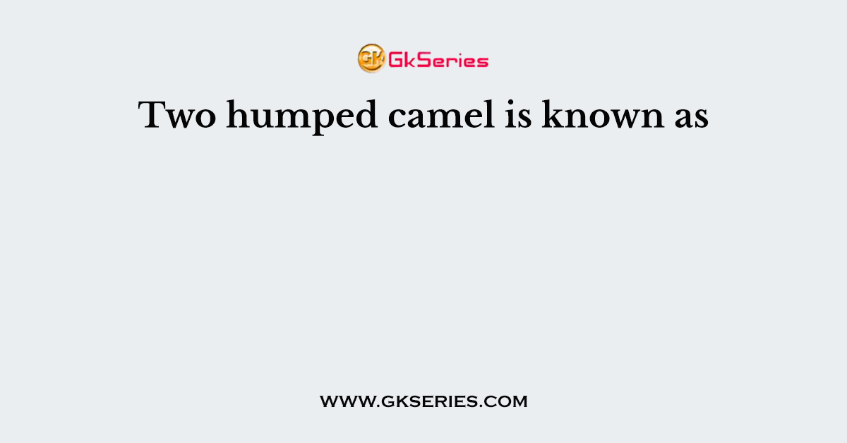 Two humped camel is known as