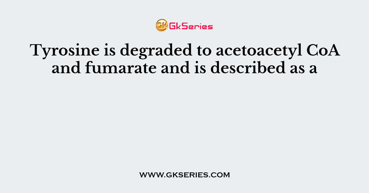 Tyrosine is degraded to acetoacetyl CoA and fumarate and is described as a