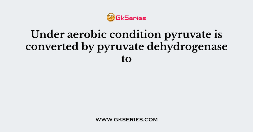 Under aerobic condition pyruvate is converted by pyruvate dehydrogenase to