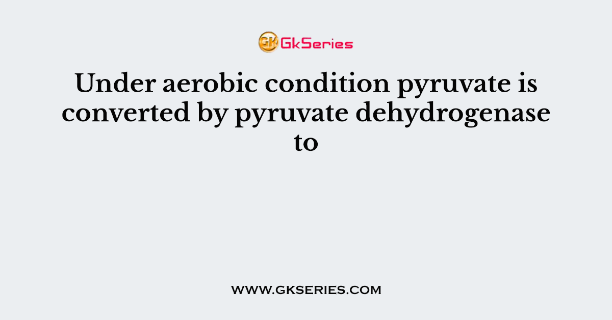 Under aerobic condition pyruvate is converted by pyruvate dehydrogenase to