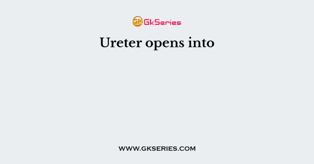 Ureter opens into