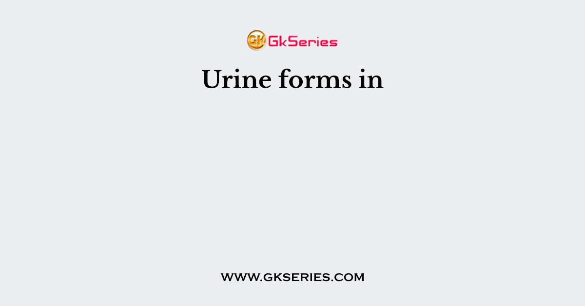 Urine forms in