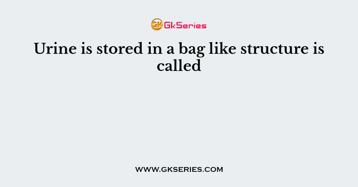 Urine is stored in a bag like structure is called