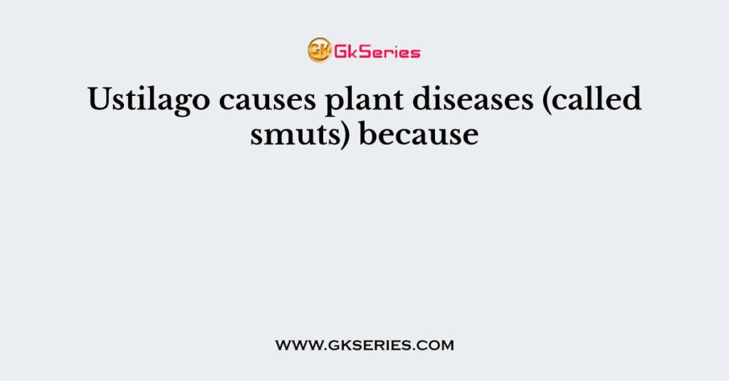 Ustilago causes plant diseases (called smuts) because