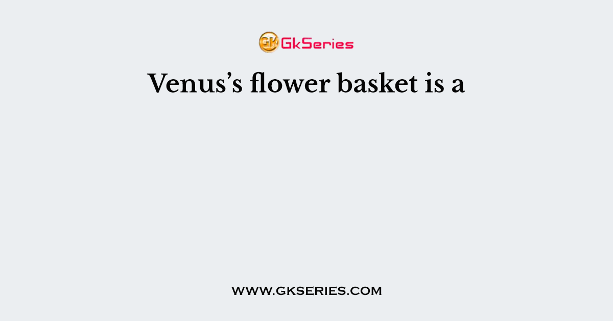 Venus’s flower basket is a