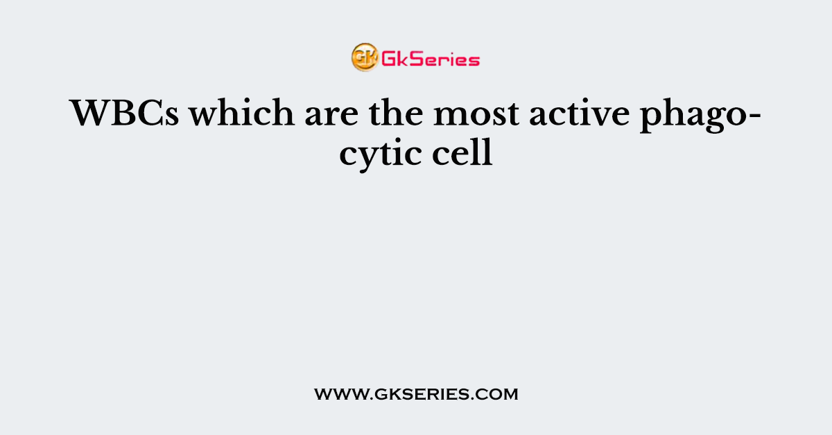 WBCs which are the most active phagocytic cell