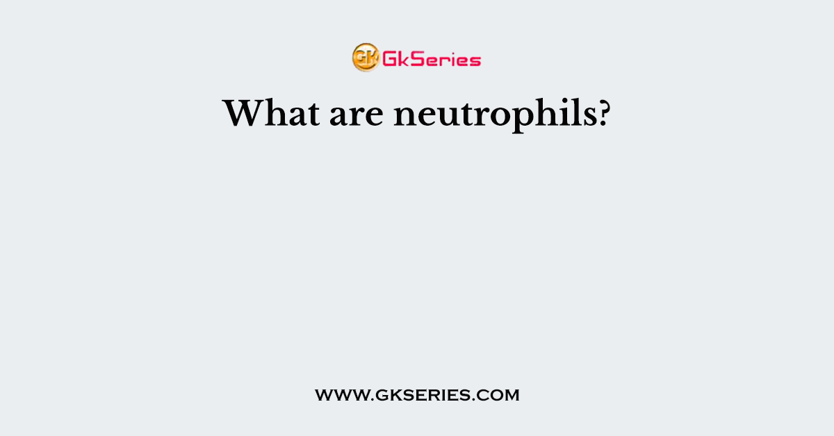 What are neutrophils?