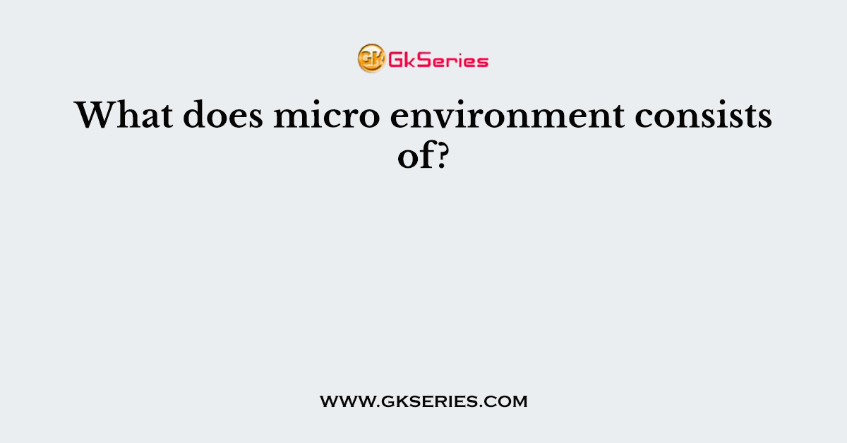 What does micro environment consists of?