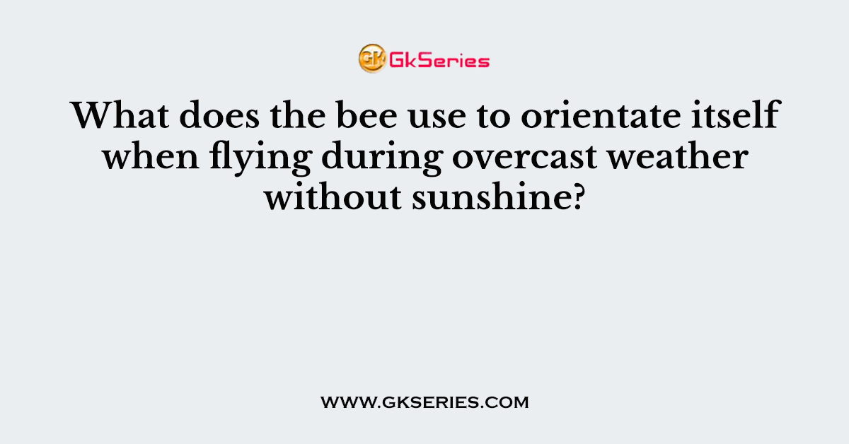 What does the bee use to orientate itself when flying during overcast weather without sunshine?