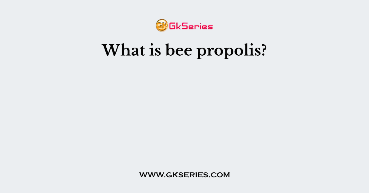 What is bee propolis?
