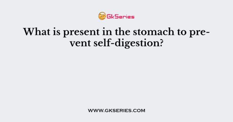 what-is-present-in-the-stomach-to-prevent-self-digestion