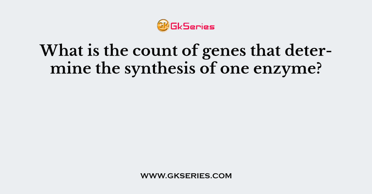 What is the count of genes that determine the synthesis of one enzyme?