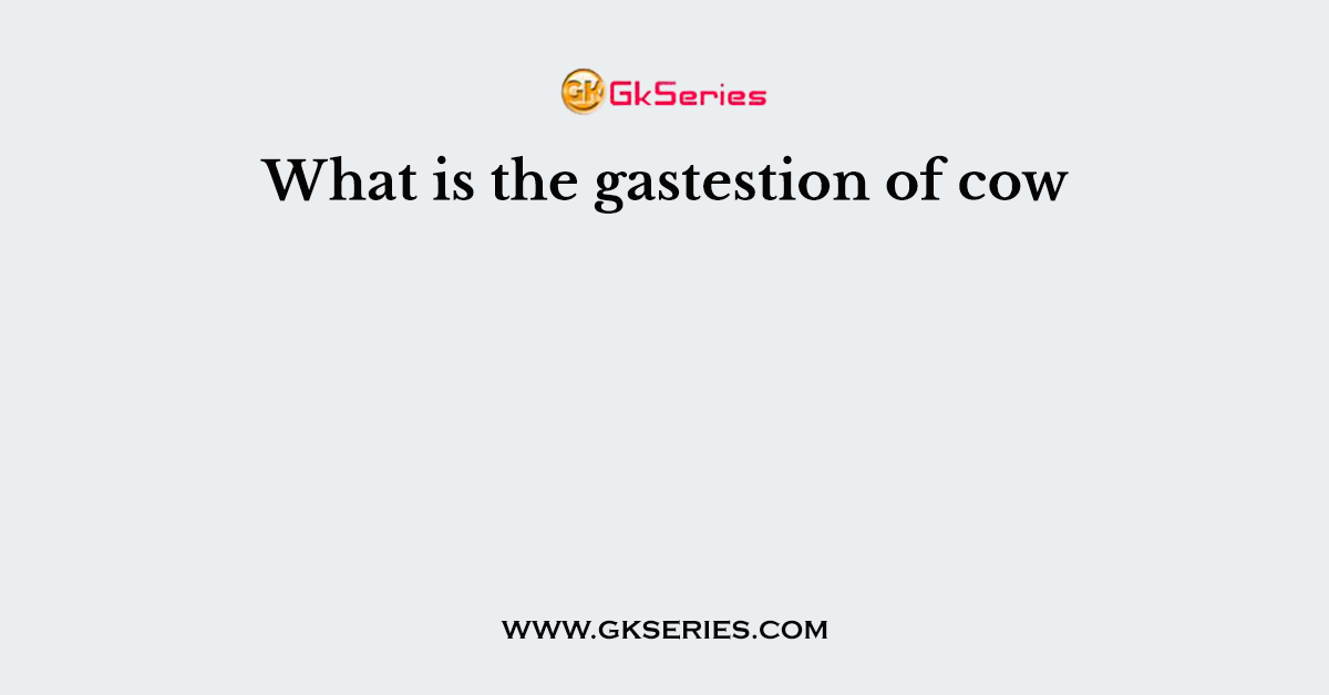 What is the gastestion of cow