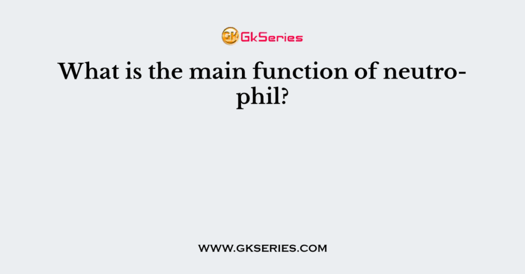 What is the main function of neutrophil?