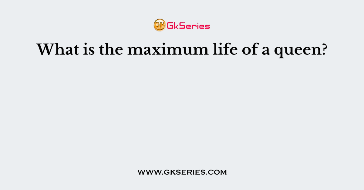 What is the maximum life of a queen?