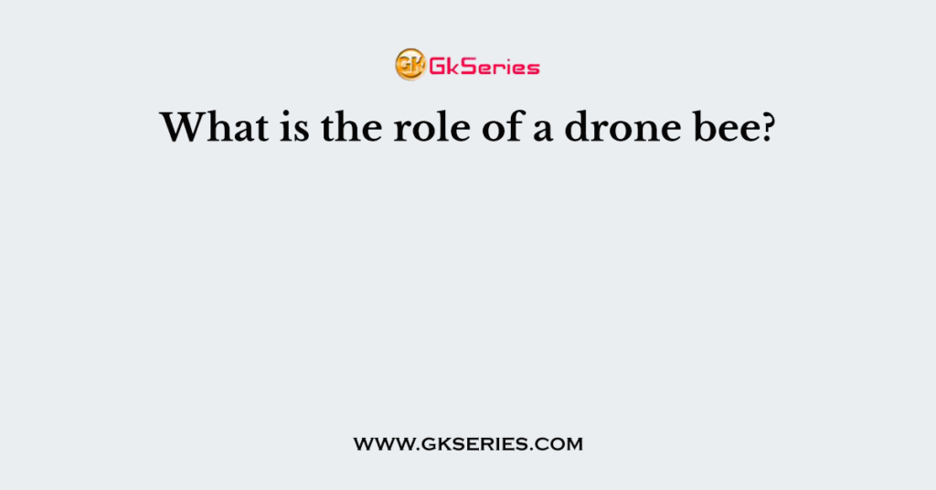 what-is-the-role-of-a-drone-bee