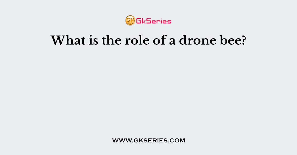 What is the role of a drone bee?