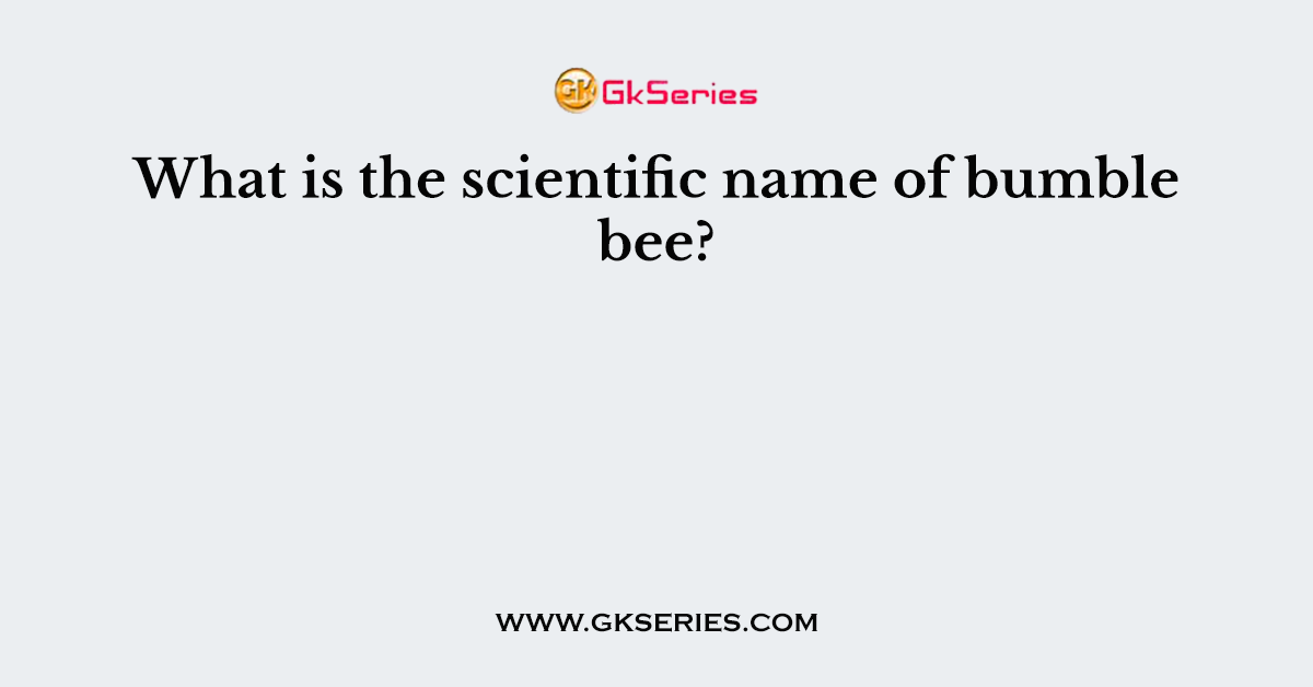 What is the scientific name of bumble bee?