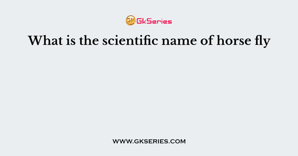 What is the scientific name of horse fly