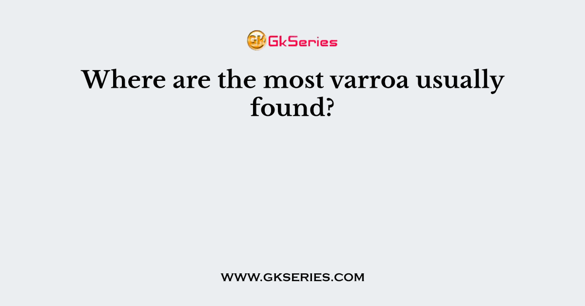 Where are the most varroa usually found?