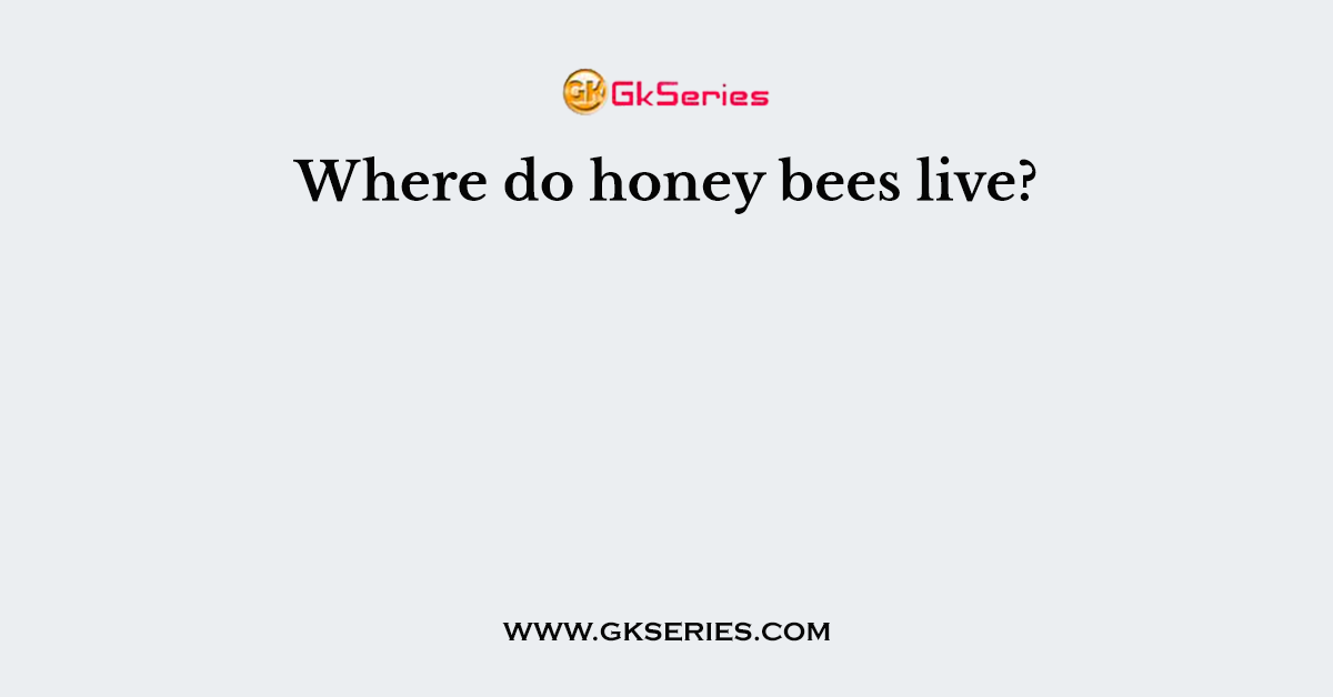 Where do honey bees live?