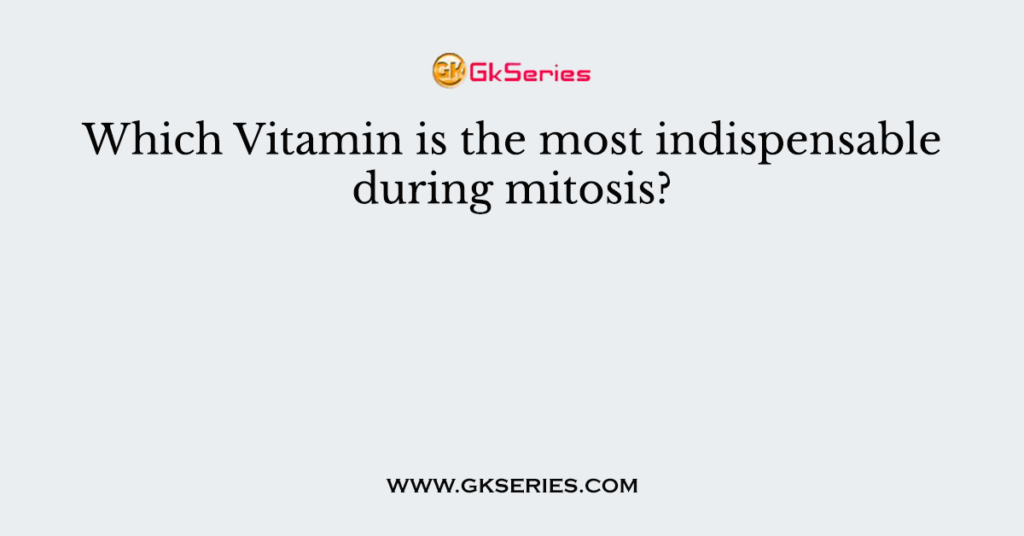 Which Vitamin is the most indispensable during mitosis?