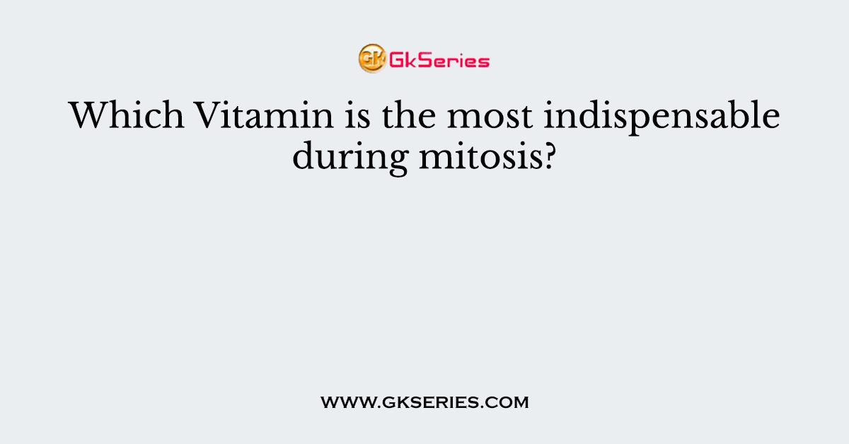 Which Vitamin is the most indispensable during mitosis?