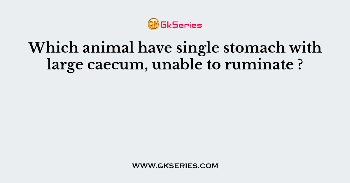 Which animal have single stomach with large caecum, unable to ruminate ?