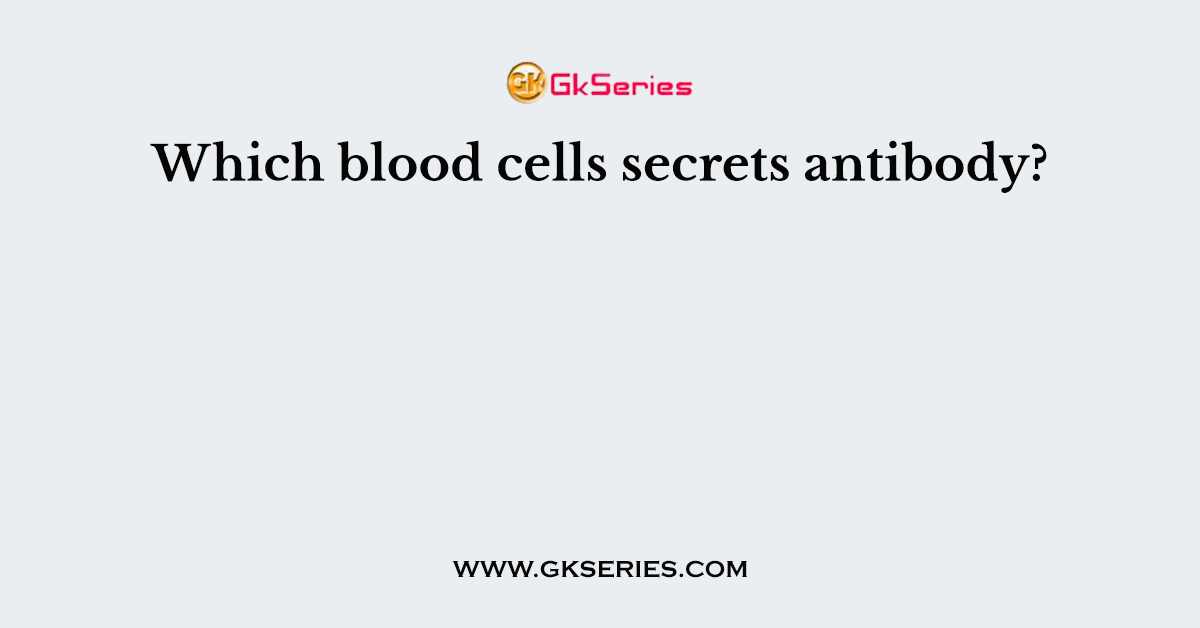Which blood cells secrets antibody?