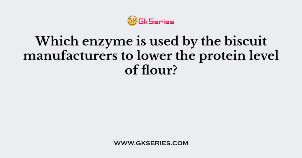 Which enzyme is used by the biscuit manufacturers to lower the protein level of flour?