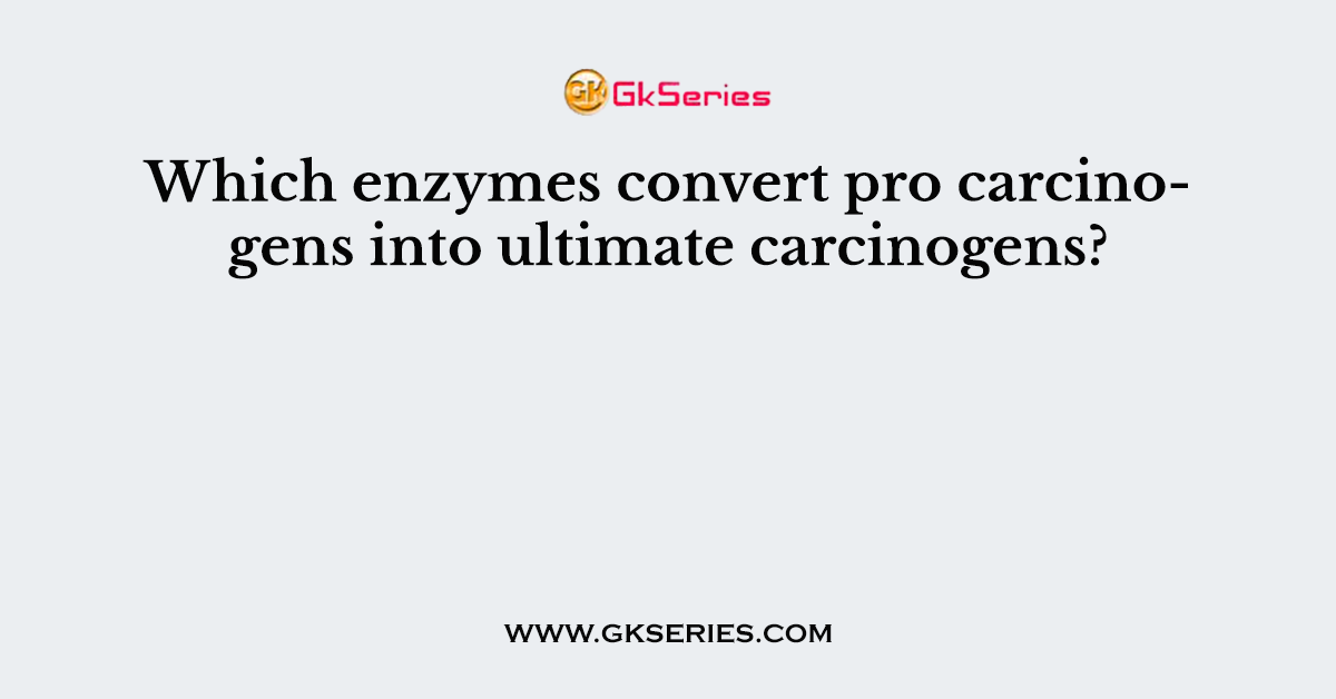 Which enzymes convert pro carcinogens into ultimate carcinogens?