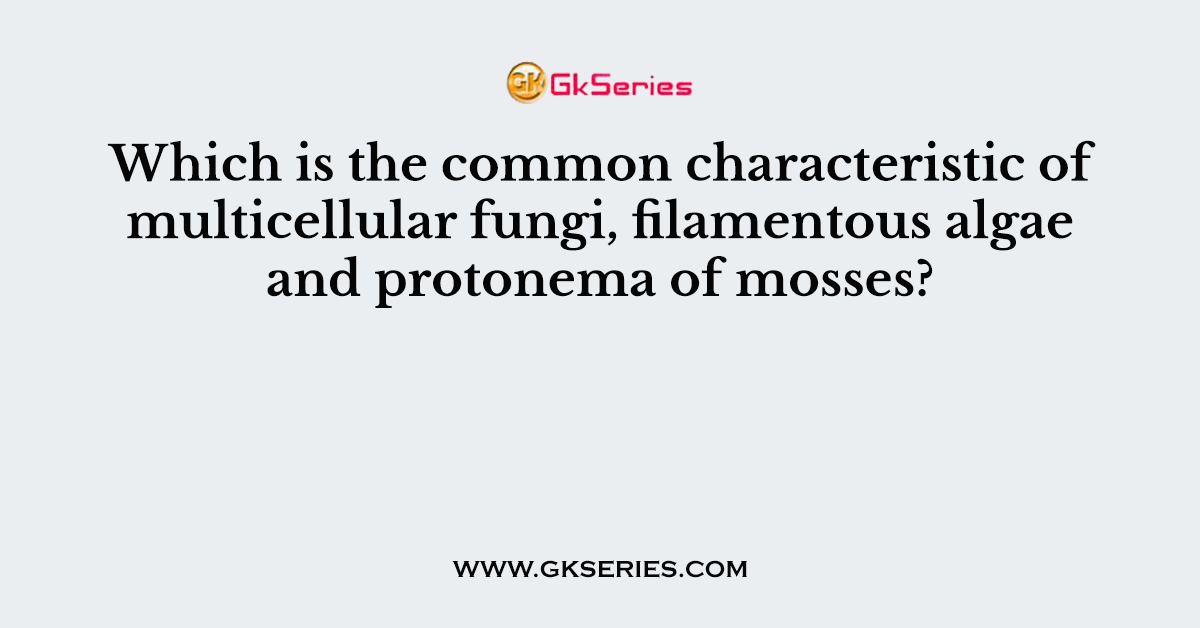 Which is the common characteristic of multicellular fungi, filamentous algae and protonema of mosses?