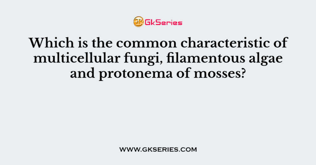 Which is the common characteristic of multicellular fungi, filamentous algae and protonema of mosses?