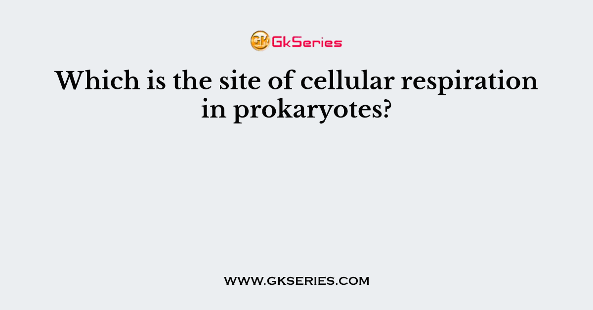 Which is the site of cellular respiration in prokaryotes?