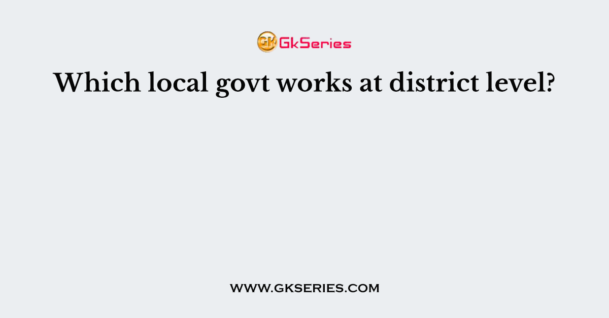 Which local govt works at district level?