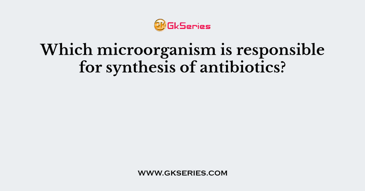 Which microorganism is responsible for synthesis of antibiotics?