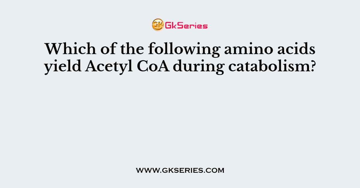 Which of the following amino acids yield Acetyl CoA during catabolism?