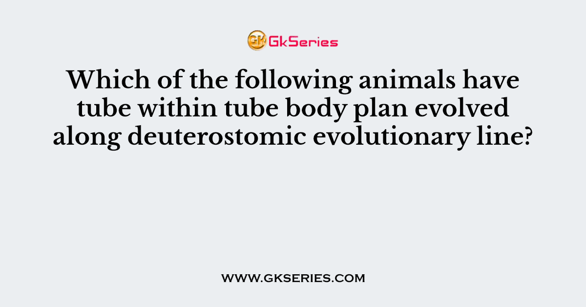 Which of the following animals have tube within tube body plan evolved along deuterostomic evolutionary line?