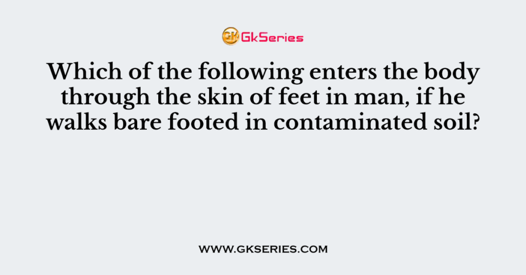 Which of the following enters the body through the skin of feet in man, if he walks bare footed in contaminated soil?