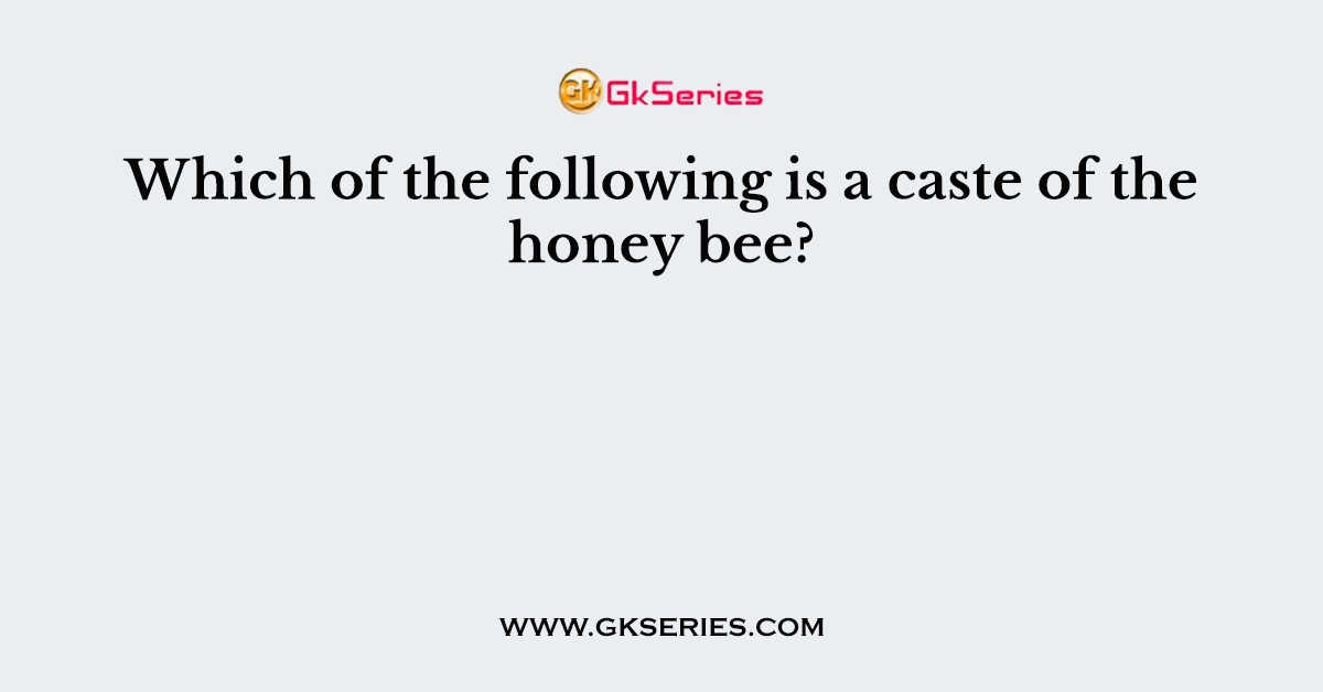 Which of the following is a caste of the honey bee?