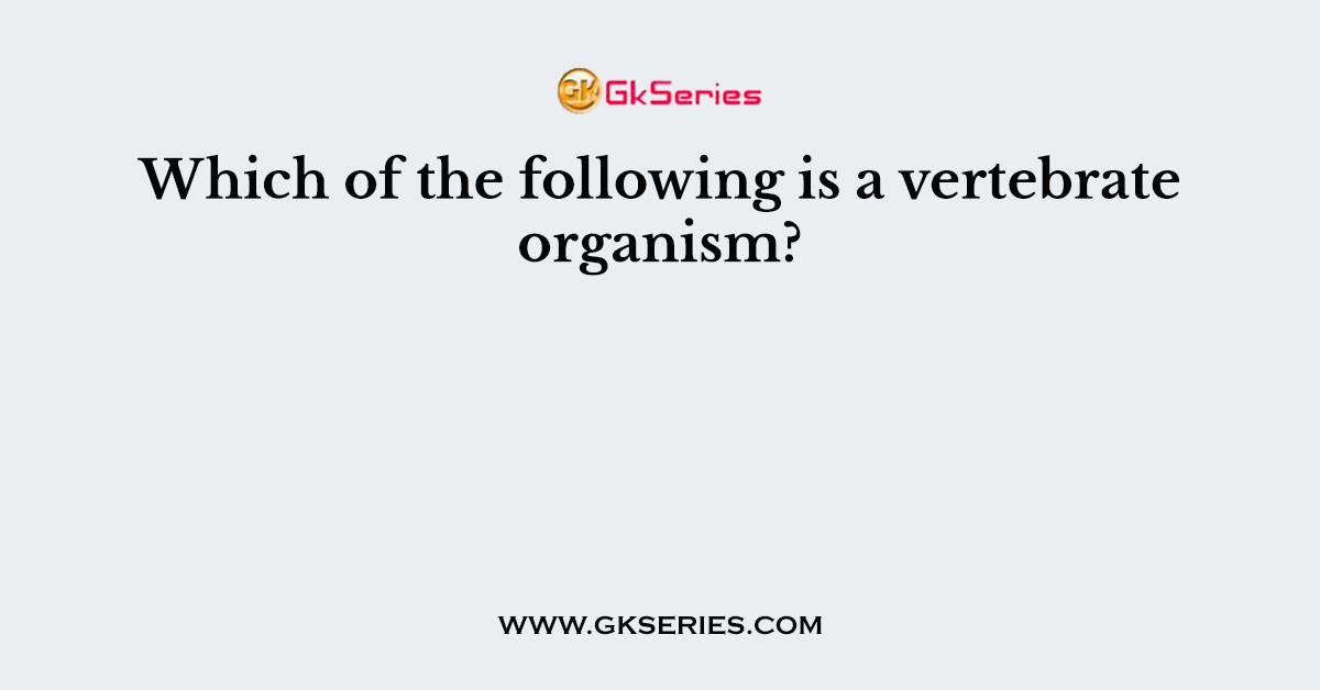 Which of the following is a vertebrate organism?