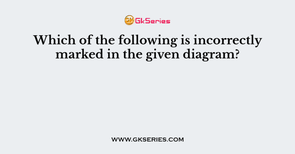 Which of the following is incorrectly marked in the given diagram?