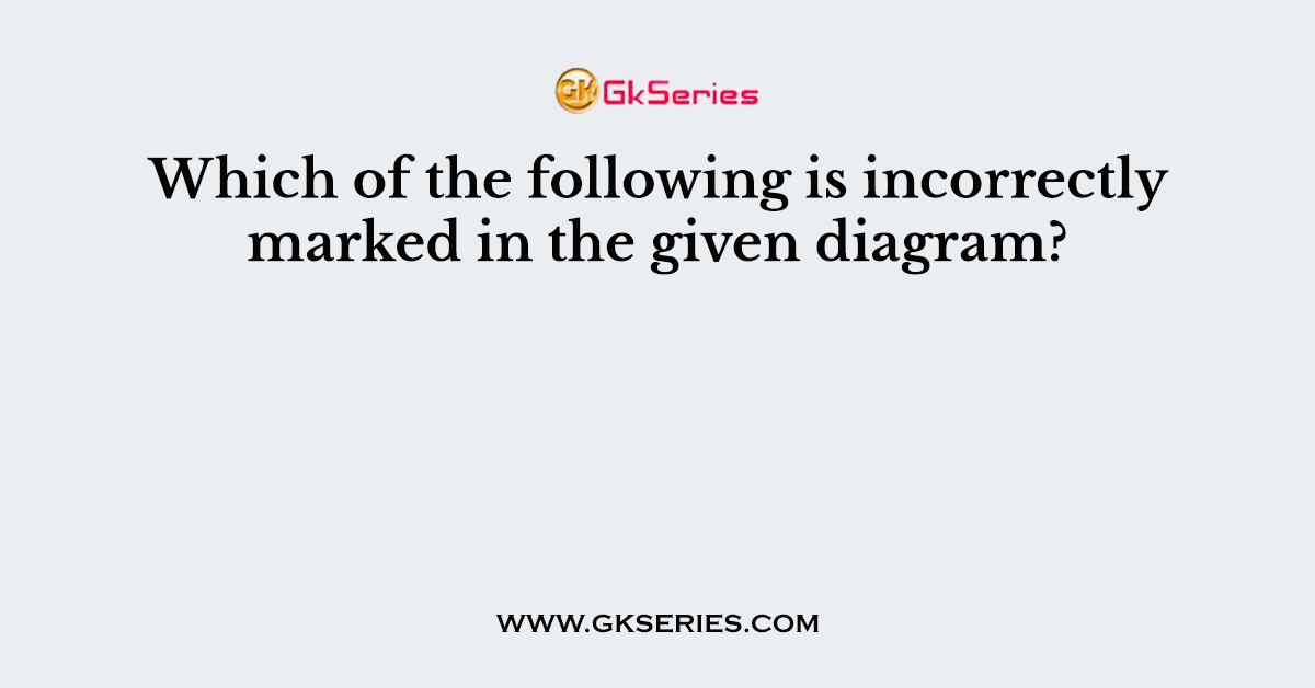Which of the following is incorrectly marked in the given diagram?