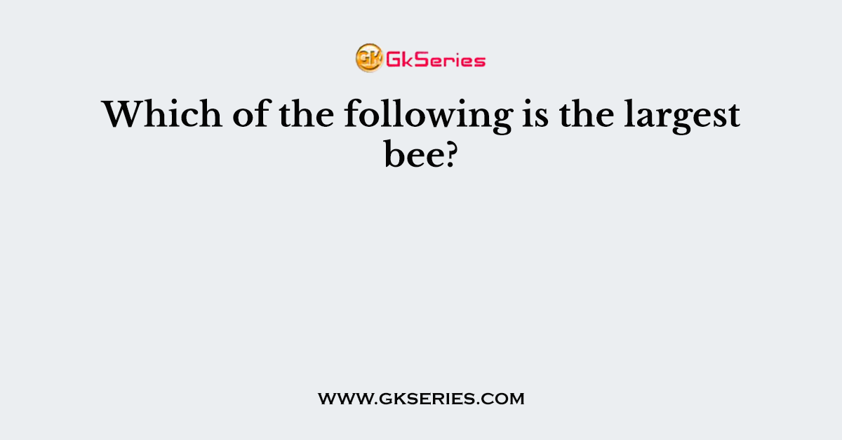 Which of the following is the largest bee?
