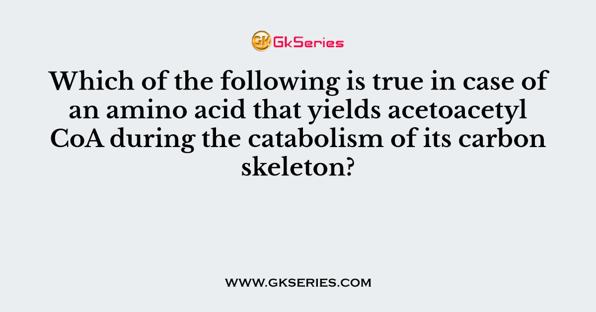 Which of the following is true in case of an amino acid that yields acetoacetyl CoA during the catabolism of its carbon skeleton?