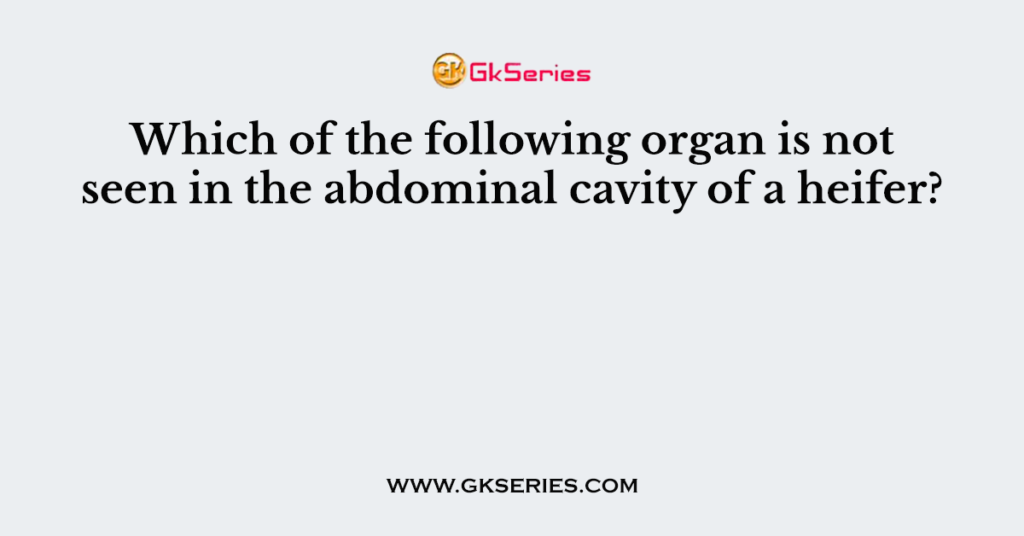 Which of the following organ is not seen in the abdominal cavity of a heifer?